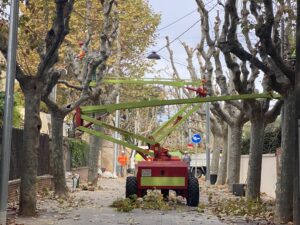 Treballs de poda al carrer Matas