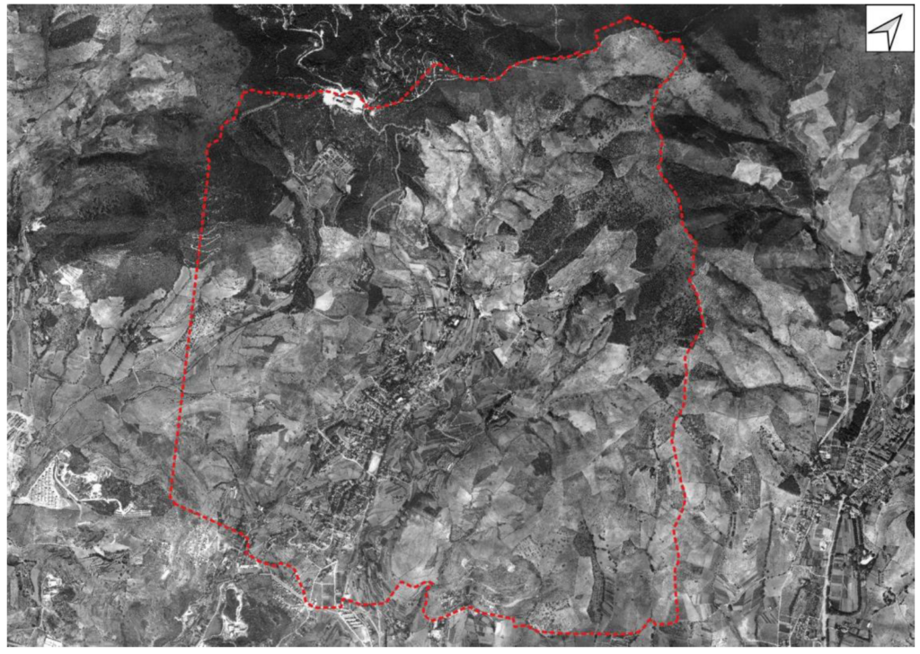 Ortofoto del municipi de Tiana de l’any 1965