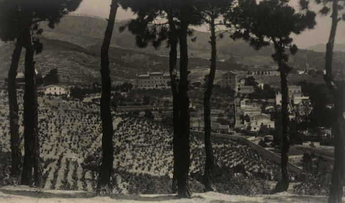 La vinya a Tiana, imatge històrica