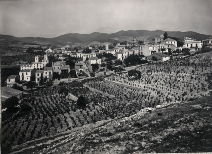 La vinya a Tiana, imatge històrica
