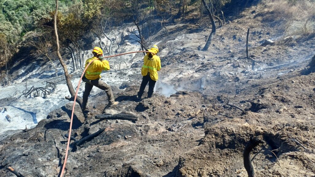 L'ADF de Tiana, treballant en l'extinció.