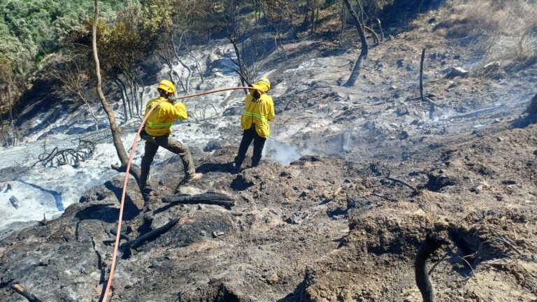 L'ADF de Tiana, treballant en l'extinció.
