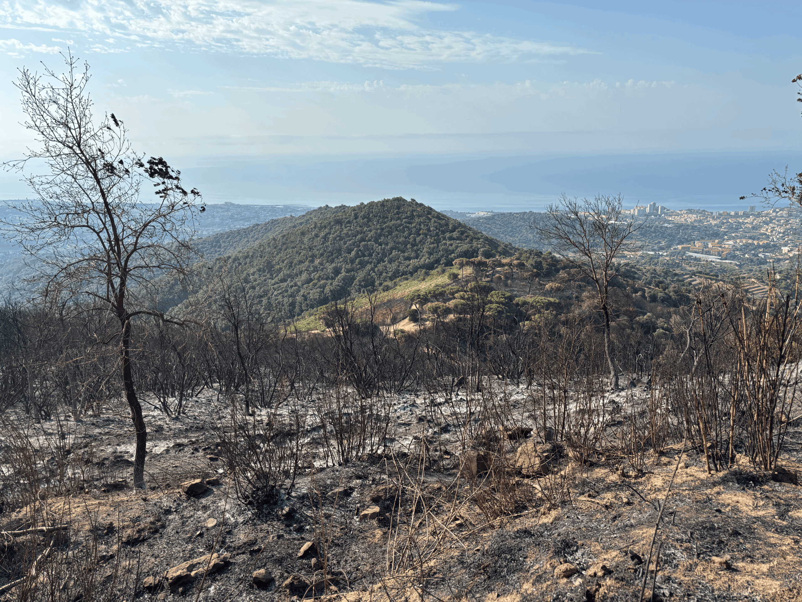 Zona afectada per l'incendi després de les flames.